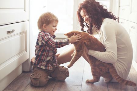4 Indoor Air Pollutants You Should Eliminate Today