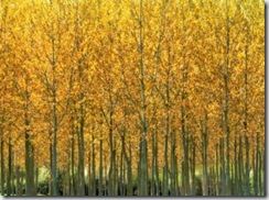 fall plumbing tips