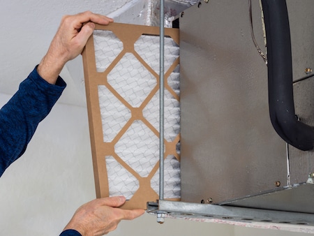 Are Air Filters Really Necessary?