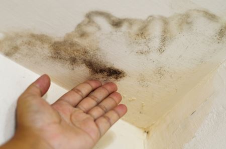 Have a Leak Damaging Your Ceiling? It May Be Your HVAC