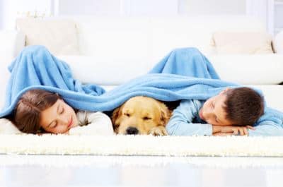Heating And Cooling When You Own A Pet