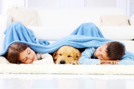 Impact of Pets on Indoor Air Quality in Aurora, CO