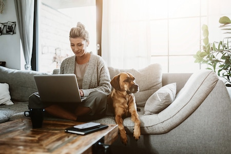 How Your Pet Impacts Your HVAC System