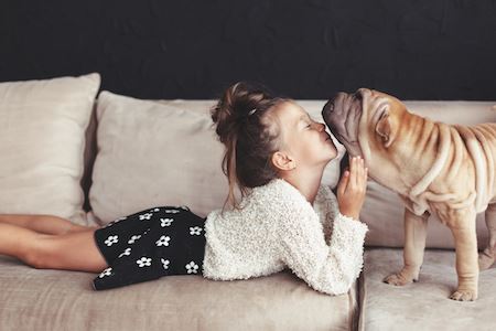 Your HVAC System If You Live With Pets